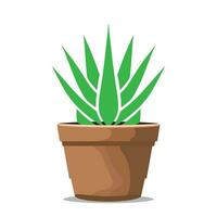 Aloe vera in a pot isolated on white background. Vector illustration EPS 10. hand drawn.