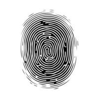 Fingerprint pattern, clear lines and swirls. Human thumbprint. Icon, pictogram, logo. Black and white illustration. Vector isolated on a white background. Security concept.