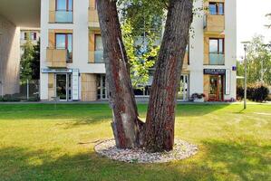 Modern and new apartment building. Multistoried, modern, new and stylish living block of flats. photo