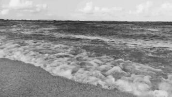 Caraïbes mer plage clair turquoise l'eau playa del Carmen Mexique. video