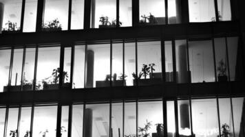 Pattern of office buildings windows illuminated at night. Glass architecture ,corporate building at night - business concept. Black and white. photo