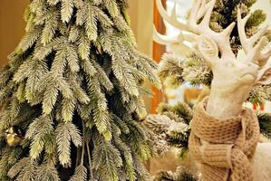 Christmas Decoration Background. photo