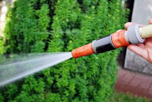 agua pulverización desde un jardín manguera foto