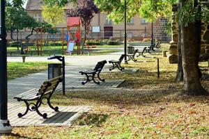 Green trees in the city park photo