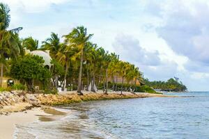 Tropical Caribbean beach clear turquoise water Playa del Carmen Mexico. photo