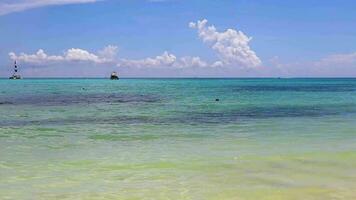 tropisk karibiska strand klar turkos vatten playa del carmen Mexiko. video