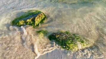 pierres roches coraux turquoise vert bleu eau sur la plage mexique. video