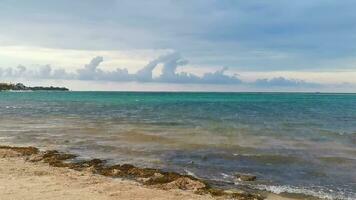 tropischer karibischer strand klares türkisfarbenes wasser playa del carmen mexiko. video