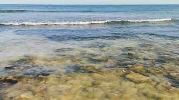 steine felsen korallen türkis grün blau wasser am strand mexiko. video