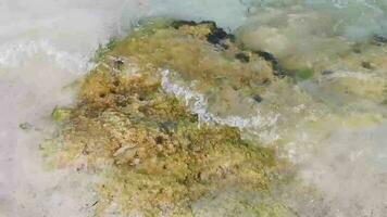 Stones rocks corals turquoise green blue water on beach Mexico. video