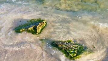 Stones rocks corals turquoise green blue water on beach Mexico. video