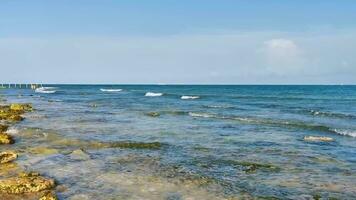 stenen rotsen koralen turkoois groen blauw water Aan strand Mexico. video