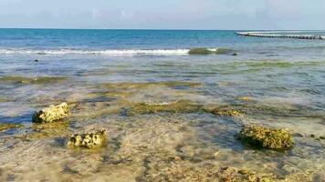 steine felsen korallen türkis grün blau wasser am strand mexiko. video