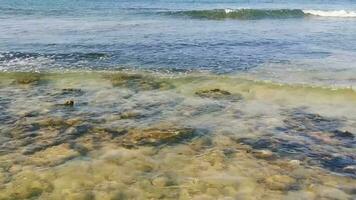 stenen rotsen koralen turkoois groen blauw water Aan strand Mexico. video