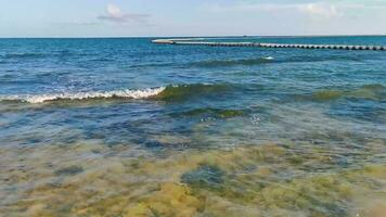 piedras rocas corales turquesa verde azul agua playa mexico. video