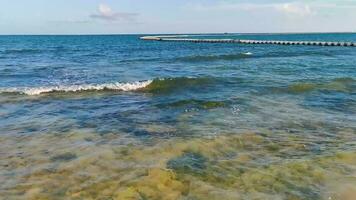 stenen rotsen koralen turkoois groen blauw water Aan strand Mexico. video