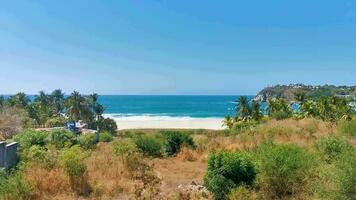 Soleil plage le sable surfeur vagues paumes dans puerto escondido Mexique. video