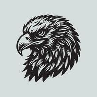 Eagle head isolated on gray background. Vector illustration for your design