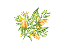 blommor och grön grenar av löv. äng örter, reste sig, knopp. vår bukett. gul blomma. vattenfärg illustration. för valentines dag, mödrar dag kort png