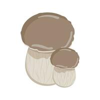 Mushroom. A white mushroom in a vector