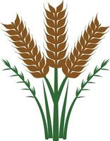 wheat clipart vector