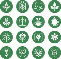 green and white icons of plants vector