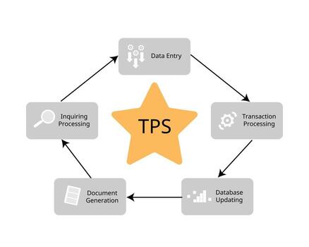 Transaction Processing System or TPS is an information system that collects, stores, modifies, and retrieves the data transactions of an enterprise vector