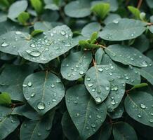 AI generated Green leaves with water drops close-up. Beautiful natural background. photo