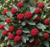 ai generado rojo flores en el ramas de un arbusto. de cerca foto