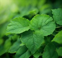 AI generated Green leaves close-up. Nature background. Shallow depth of field photo