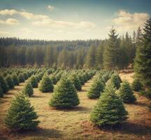 AI generated Vintage photo of fir trees growing in the forest. Retro style