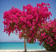 AI generated Beautiful bougainvillea tree on the beach in Greece photo
