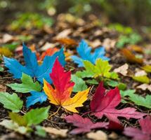 ai generado vistoso otoño hojas en el suelo en el parque, superficial profundidad de campo foto