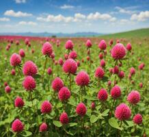 AI generated Beautiful red clover field with blue sky background in summer. photo