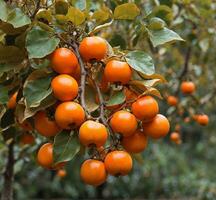 AI generated Ripe oranges on the tree in the garden. Shallow depth of field. photo