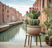 AI generated Cactuses in a pot on a wooden pier in Venice, Italy photo