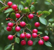 AI generated Branch with red berries on a blurred green background. Close-up. photo