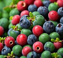 AI generated Fresh blueberries and red cranberries as background, close-up photo