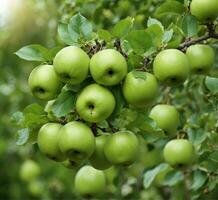 ai generado verde manzanas en un rama con gotas de Rocío, de cerca foto