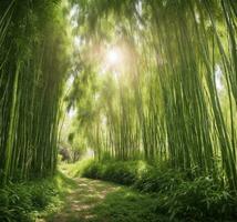 AI generated bamboo forest in the morning with sunbeams and lens flare photo