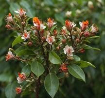 AI generated Azalea Rhododendron flowers in bloom photo