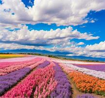 AI generated A colorful field of hyacinths blooming in the spring photo