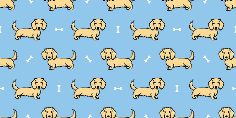 Cute long haired dachshund dog cream color cartoon seamless pattern, vector illustration