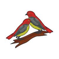 two birds on twig illustration vector