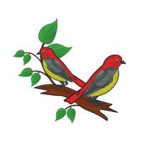 two birds on twig illustration vector