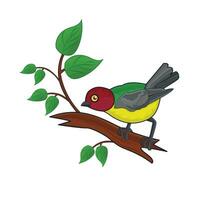 bird with twig illustration vector