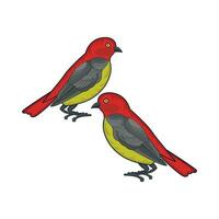 illustration of two birds vector