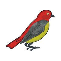 illustration of bird vector