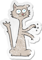 pegatina retro angustiada de un gato de dibujos animados rascándose png