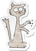 retro distressed sticker of a cartoon cat scratching png